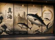 銀座 鮪 真海 SHINKAI GINZA 2
