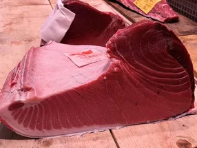银座金枪鱼料理 真海 1